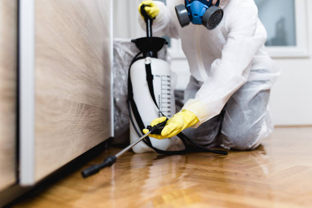 Best Bed Bug Extermination  in River Road, WA