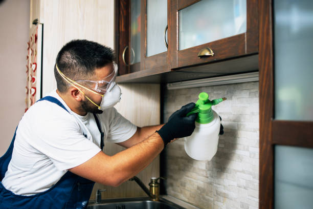 Best Best Pest Control Companies  in River Road, WA