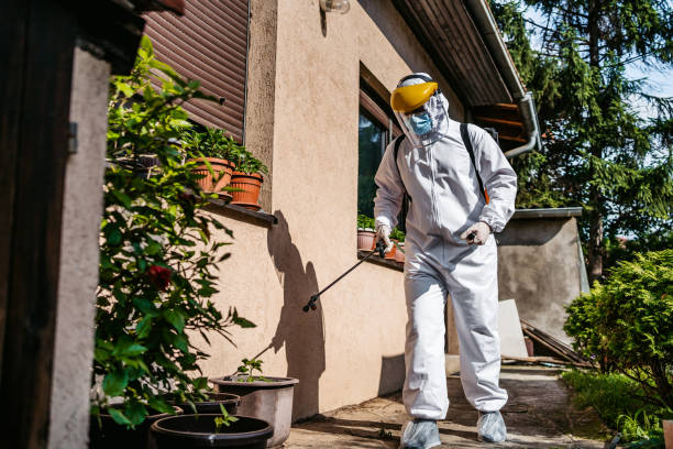 Flea Control Services in River Road, WA