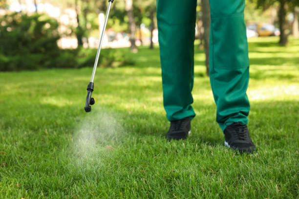Trusted River Road, WA Pest Control Experts