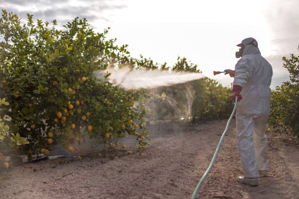 Best Residential Pest Control  in River Road, WA
