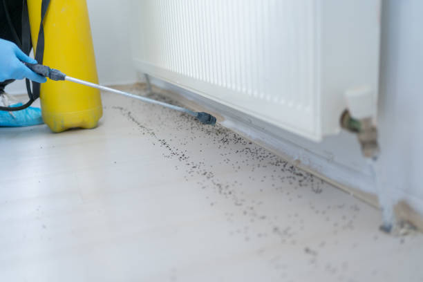 Best Best Pest Control Companies  in River Road, WA