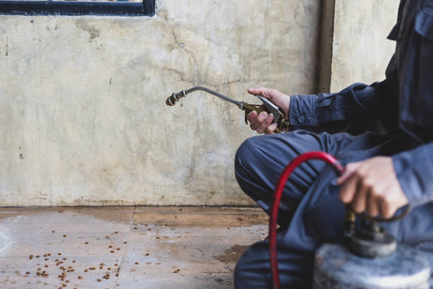 Best Affordable Pest Control Services  in River Road, WA