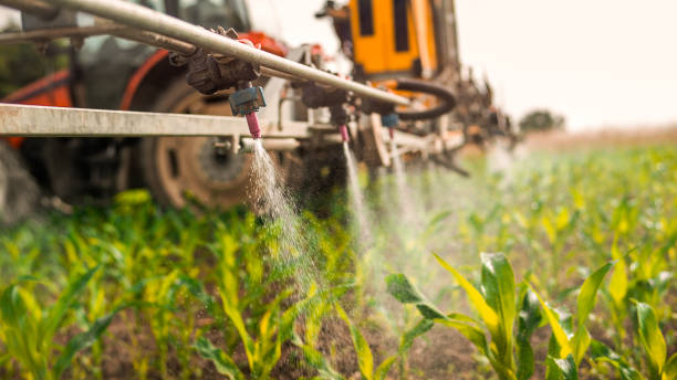 Best Pest Removal Services  in River Road, WA